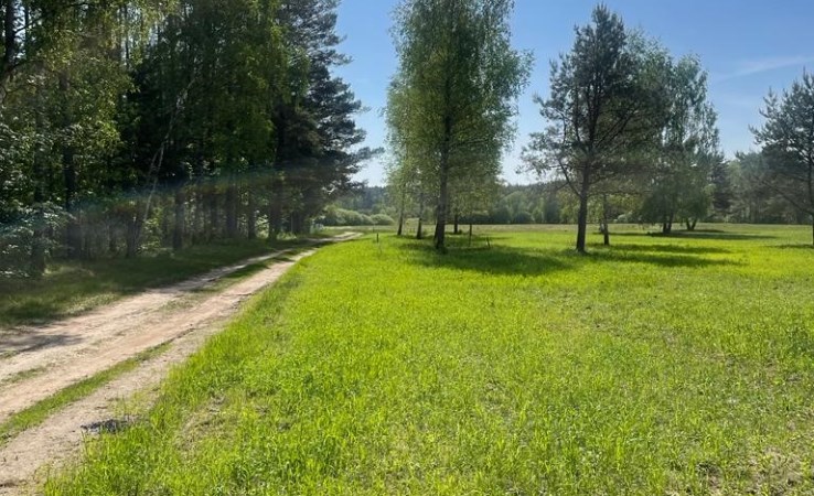 działka na sprzedaż - Jedwabno, Rekownica